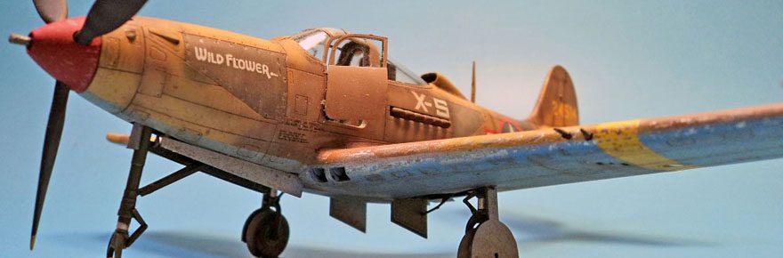 Build Report: Eduard’s 1/48 P-39L