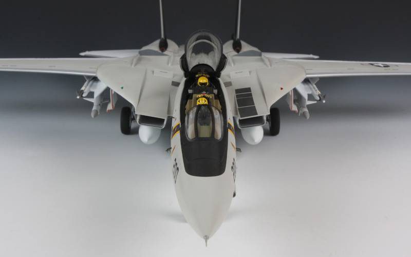 And even more Tamiya F-14 news